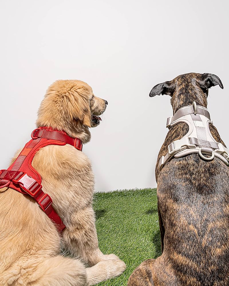 ワイルド ワン 犬用ハーネス、首輪、リース 3点セット 犬 ハーネス リード 首輪 3点セット 犬用 犬用ハーネス 小型犬